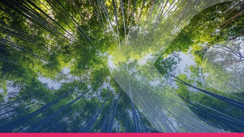 Going Paperless: EPOS and Sustainability