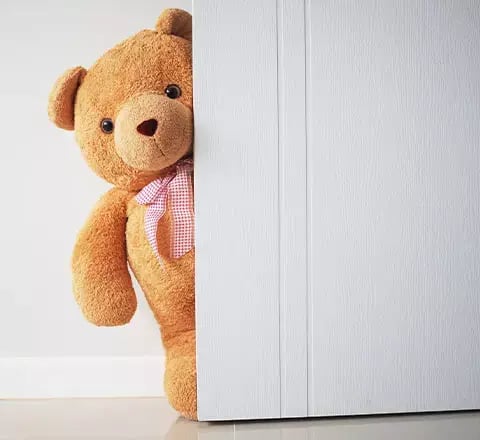 70-30-Teddy
