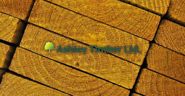 Ashley-Timber-Hero-min-768x400